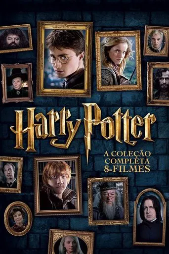 Harry Potter: Coleção - Poster