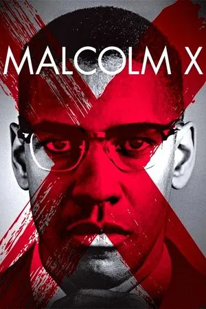 Malcolm X - Poster