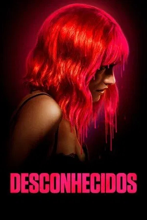 Desconhecidos - Poster